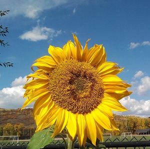 Meet your Posher, Esther